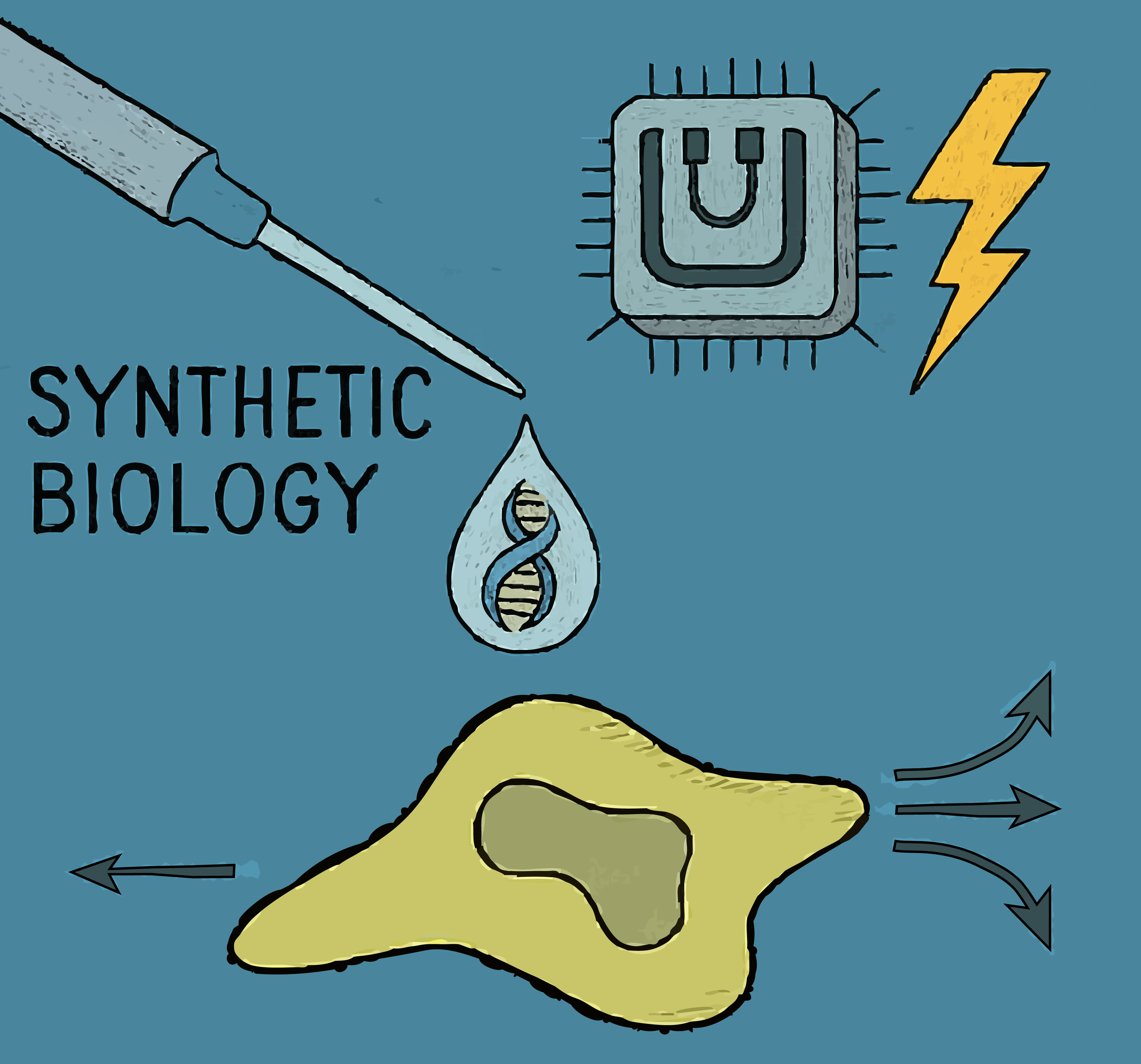 Engineered cell guidance schematic